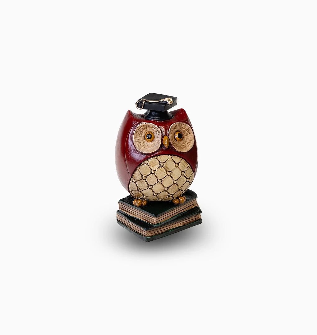 جغد کتابی کوچک